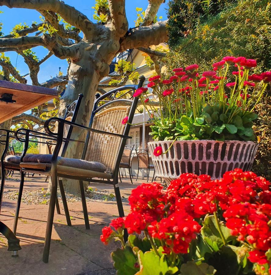 רודסהיים אם ריין Jagdschloss Hotel Niederwald מראה חיצוני תמונה