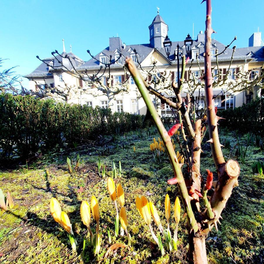 רודסהיים אם ריין Jagdschloss Hotel Niederwald מראה חיצוני תמונה