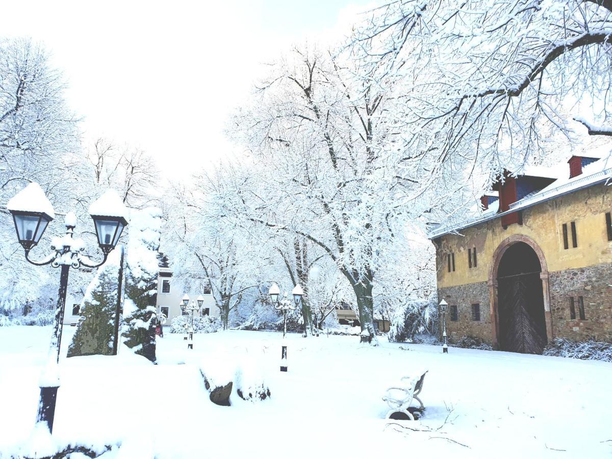רודסהיים אם ריין Jagdschloss Hotel Niederwald מראה חיצוני תמונה